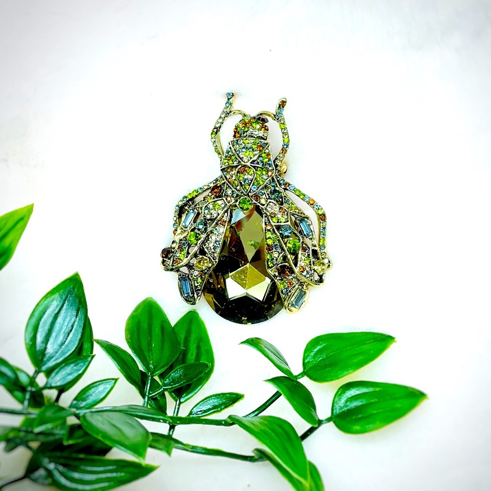 Brooch🪰
